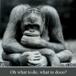 confusion_11