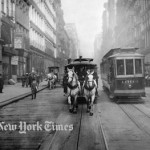 horse & buggy